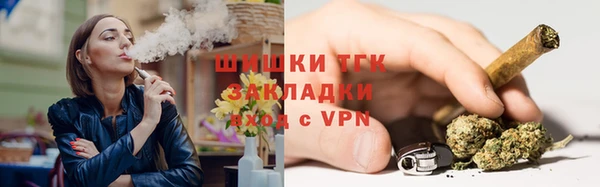 шишки Алзамай