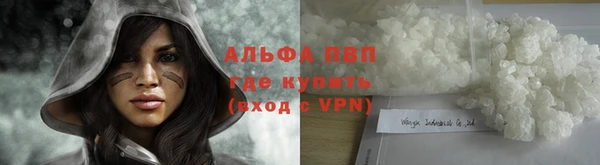 спиды Абаза
