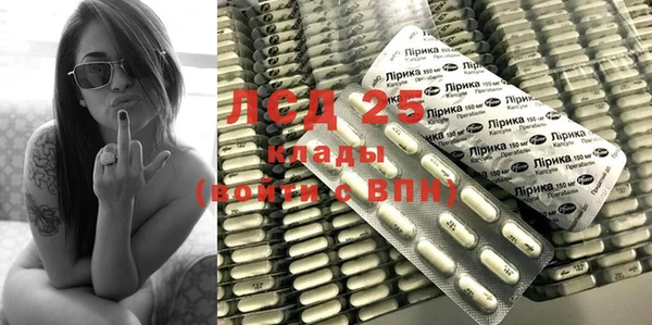 шишки Алзамай