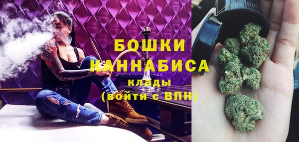 бошки Алексин